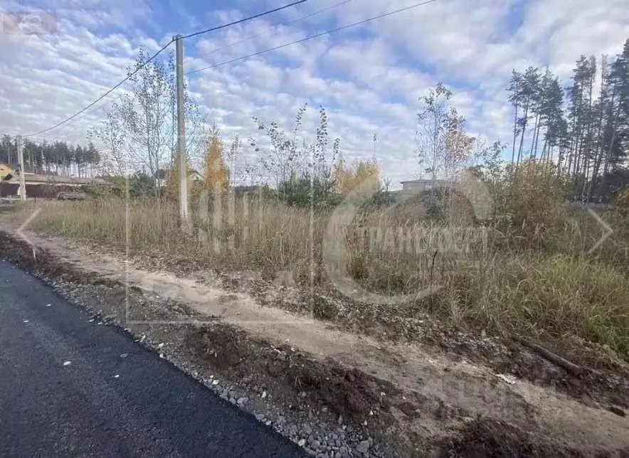 Участок в Воронежская область, Рамонский район, Яменское с/пос, д. ... - Фото 1