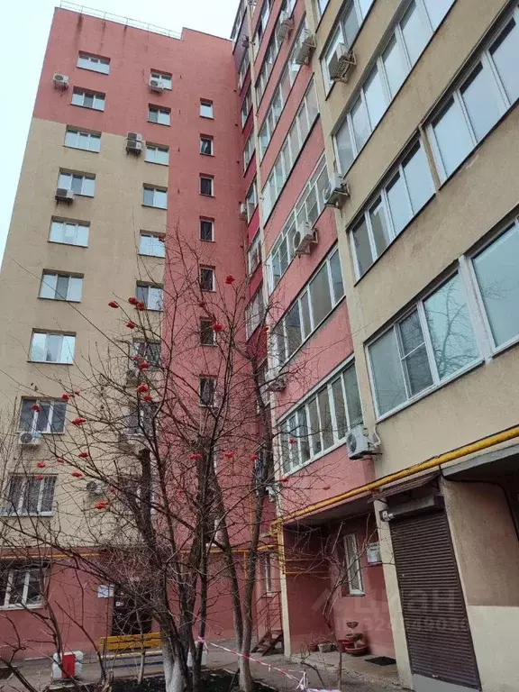 1-к кв. Самарская область, Самара ул. Пушкина, 223 (34.6 м) - Фото 1