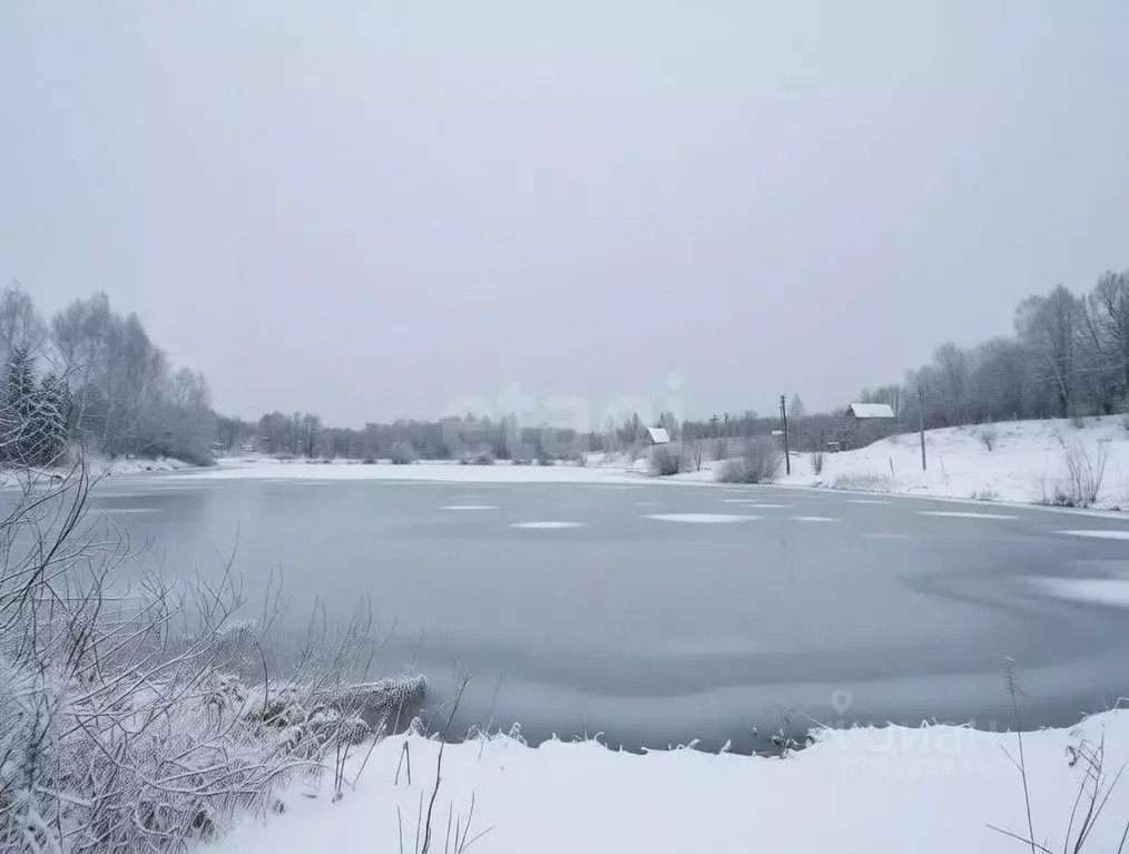 Участок в Тульская область, Тула городской округ, д. Струково ул. ... - Фото 1