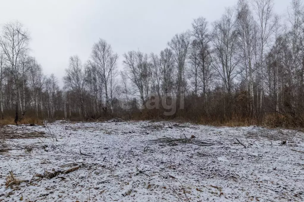 Участок в Тюменская область, Нижнетавдинский муниципальный округ, ... - Фото 1