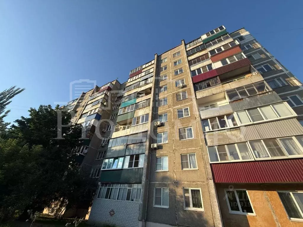 1-к кв. Курская область, Курск ул. Павлуновского, 7 (29.7 м) - Фото 0