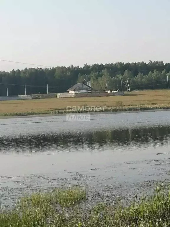 Участок в Челябинская область, Сосновский район, с. Архангельское  ... - Фото 1