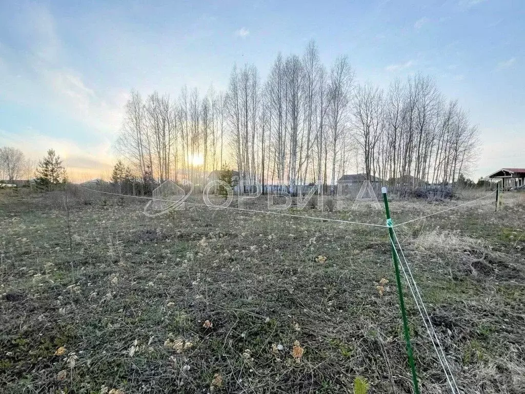 Участок в Тюменская область, Тюменский муниципальный округ, ... - Фото 1