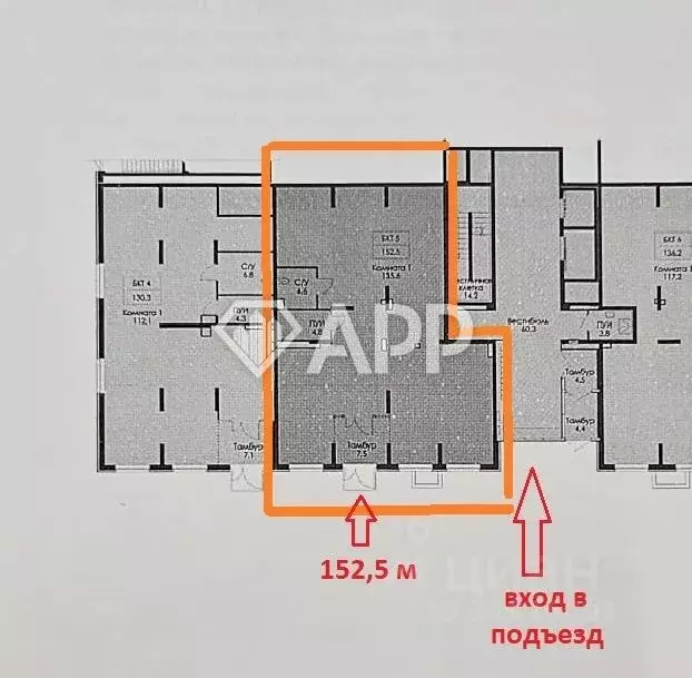 Помещение свободного назначения в Краснодарский край, Новороссийск ул. ... - Фото 1