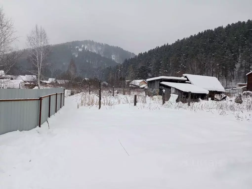 Участок в Алтай, Майминский район, с. Соузга Лесная ул. (6.0 сот.) - Фото 1