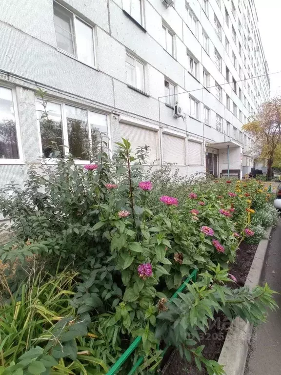 2-к кв. Красноярский край, Красноярск Озерная ул., 41 (40.0 м) - Фото 1