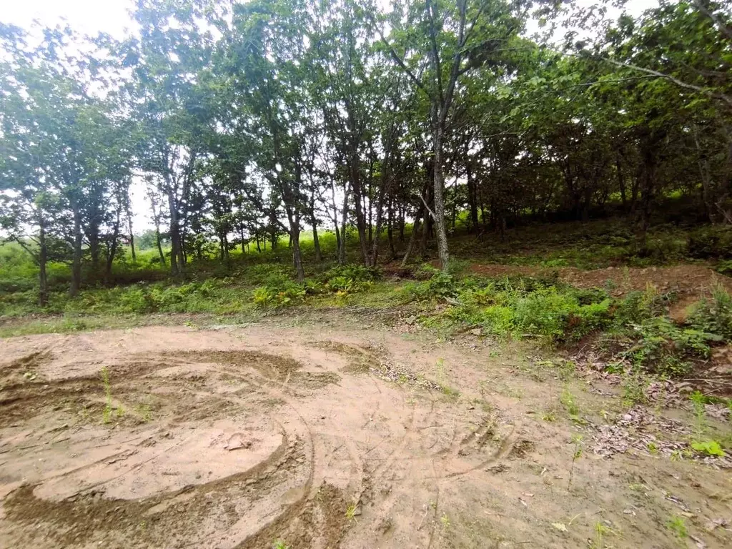 Участок в Приморский край, Находка Находка СНТ, ул. Центральная, 31 ... - Фото 1