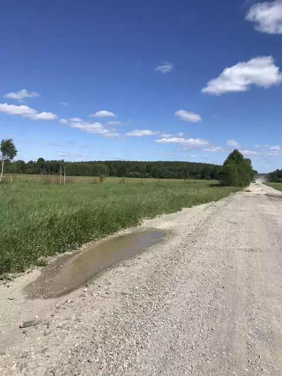 Участок в Свердловская область, Екатеринбург муниципальное ... - Фото 1