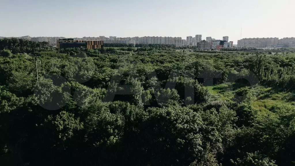 1-к. квартира, 47,8 м, 6/16 эт. - Фото 0