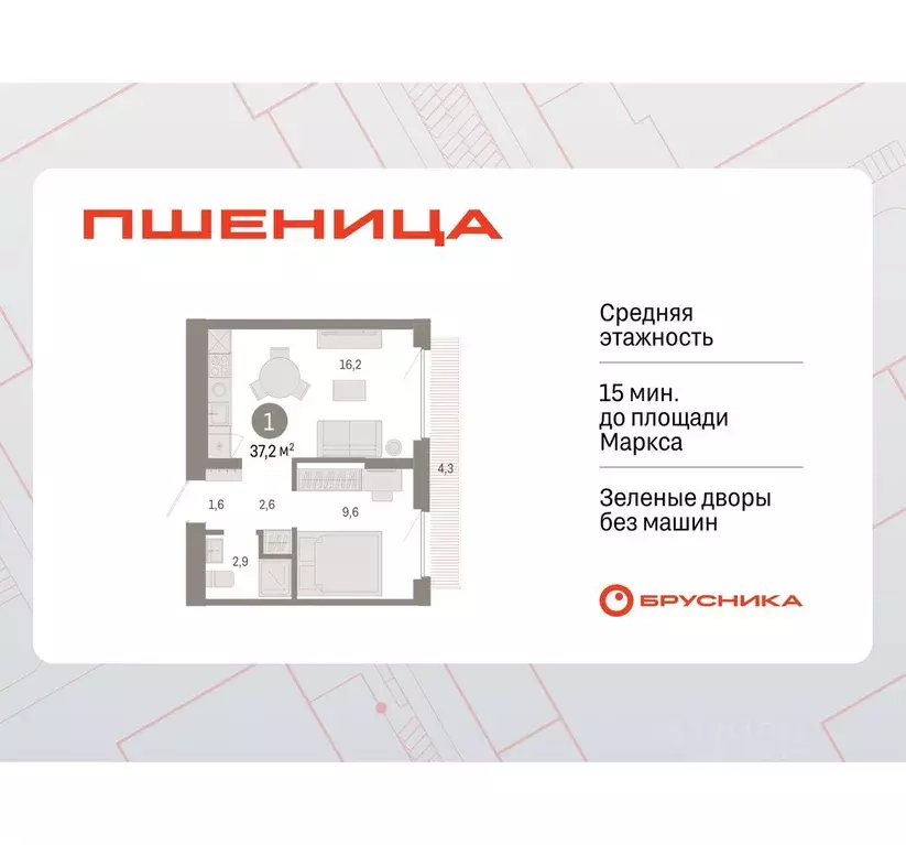 1-к кв. Новосибирская область, Новосибирский район, Краснообск рп, 3-й ... - Фото 1