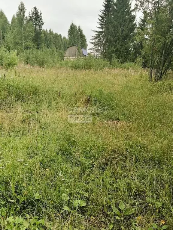 Участок в Коми, Сыктывкар городской округ, пос. Верхний Мыртыю ул. ... - Фото 1