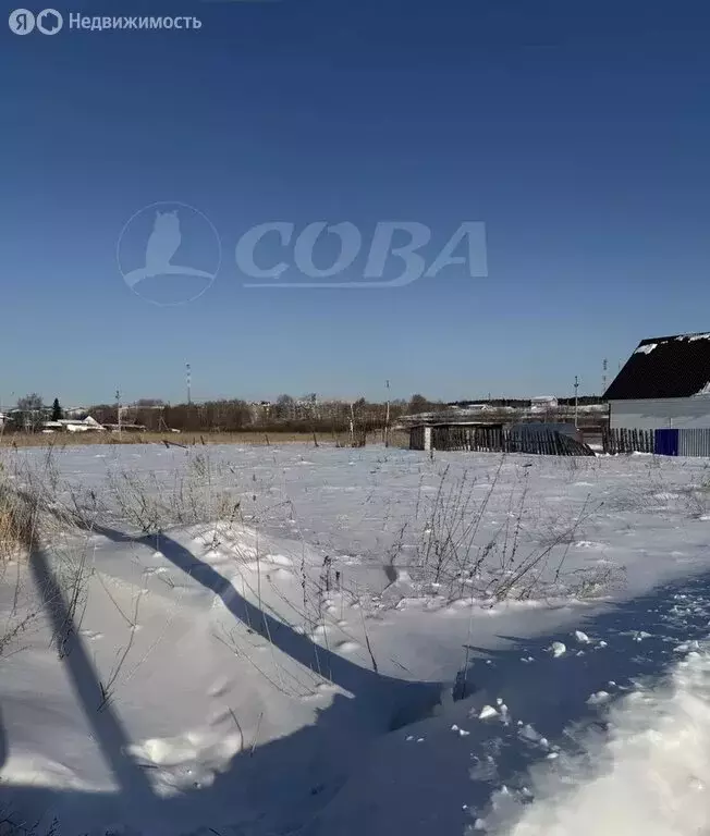 Участок в Курганская область, село Кетово (5 м) - Фото 1