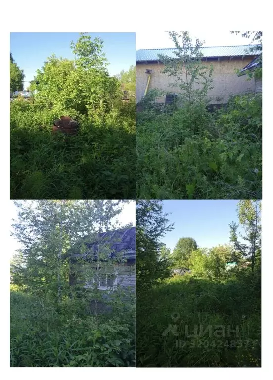 Участок в Кировская область, Киров Мичуринец СДТ, 135 (2.5 сот.) - Фото 0