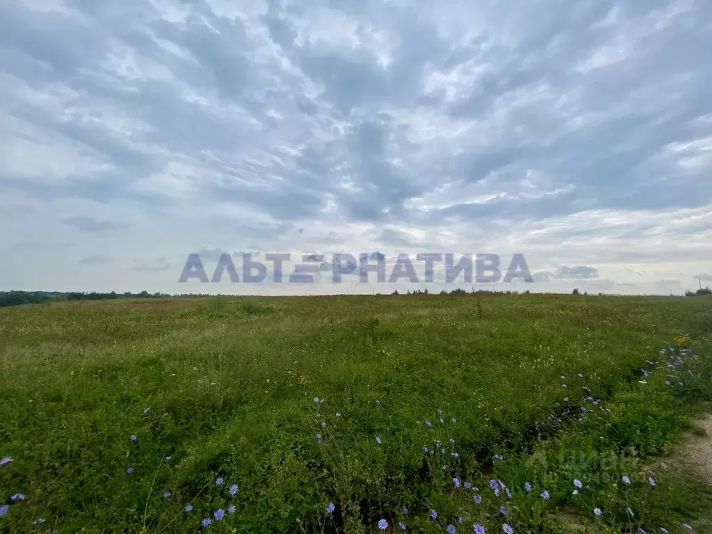 Участок в Ярославская область, Переславль-Залесский муниципальный ... - Фото 1