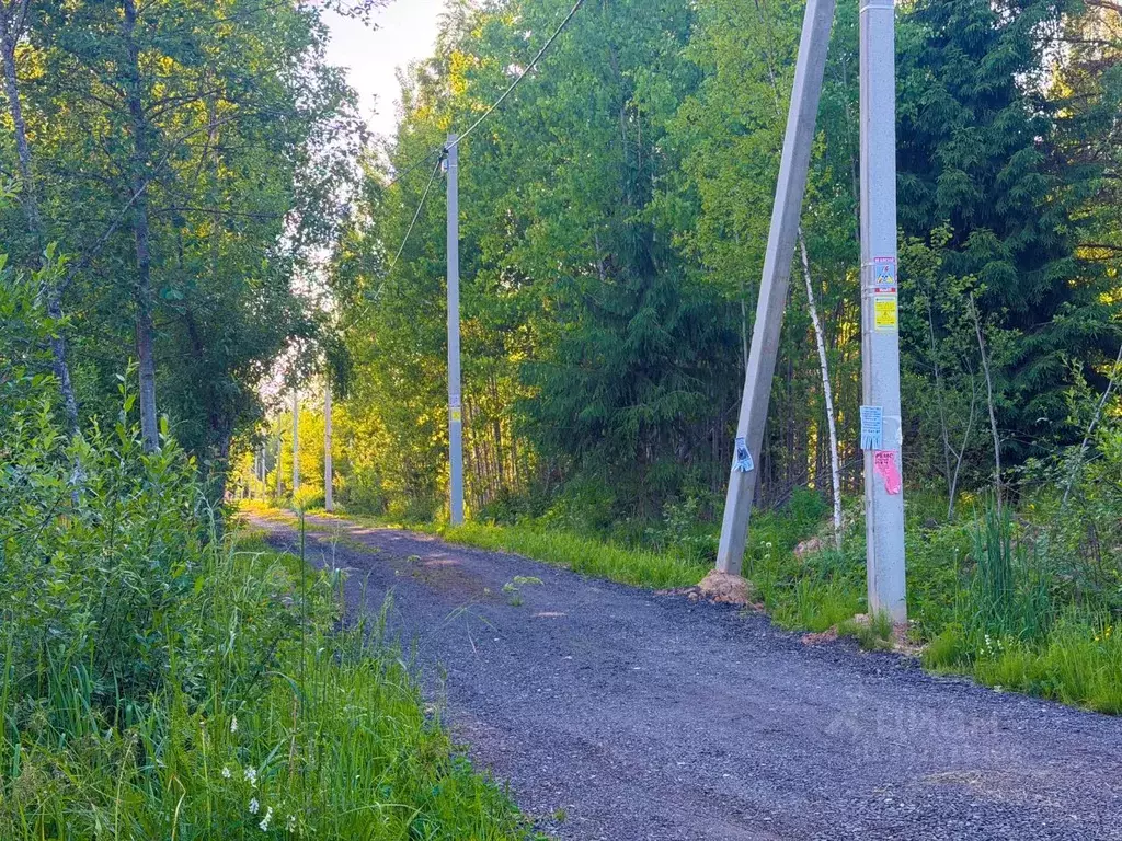 Участок в Ленинградская область, Лужский район, Мшинское с/пос, ... - Фото 1