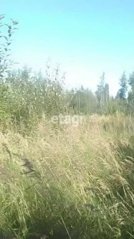 Участок в Ленинградская область, Гатчинский район, пос. Новый Свет, ... - Фото 0