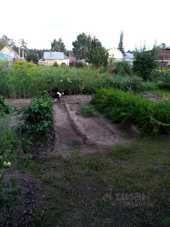 Дом в Алтайский край, Барнаул городской округ, с. Власиха ул. ... - Фото 1