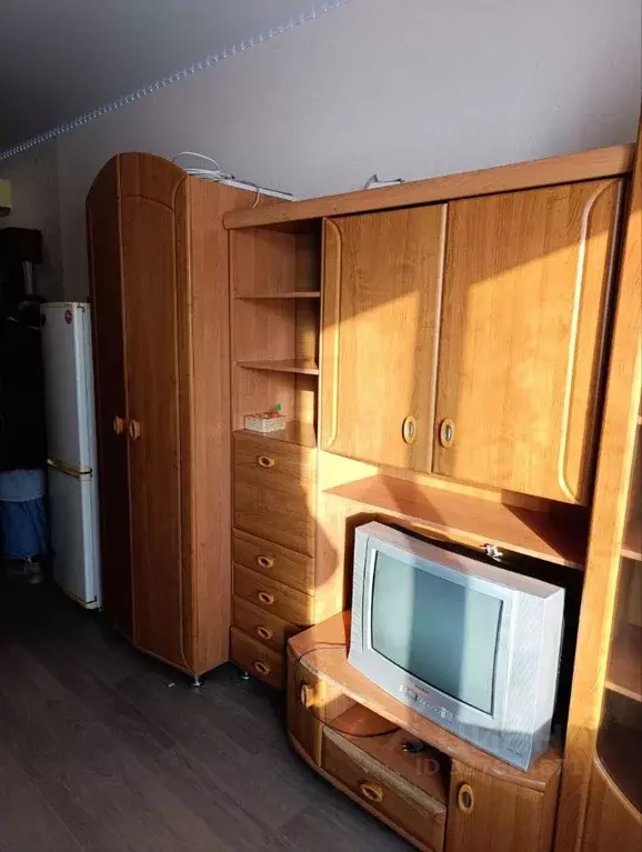 Студия Новосибирская область, Бердск Черемушная ул., 51к2 (24.0 м) - Фото 1