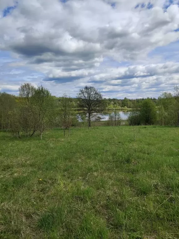 Участок в Новгородская область, Новгородский район, Трубичинское ... - Фото 1