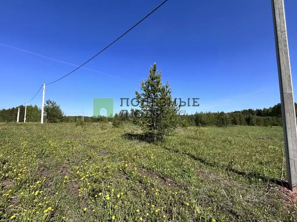 Участок в Кировская область, Киров городской округ, д. Олинцы  ( сот.) - Фото 1