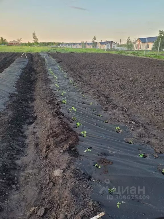 Участок в Белгородская область, Старый Оскол ул. Рубиновая (15.0 сот.) - Фото 0