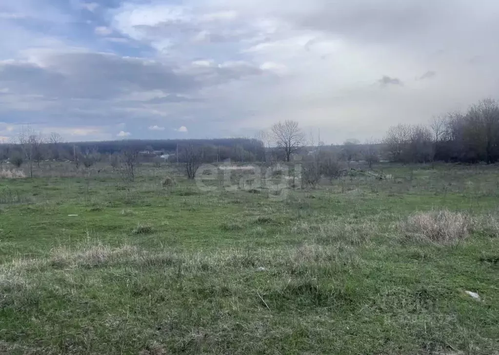 Участок в Белгородская область, Шебекинский муниципальный округ, пос. ... - Фото 2