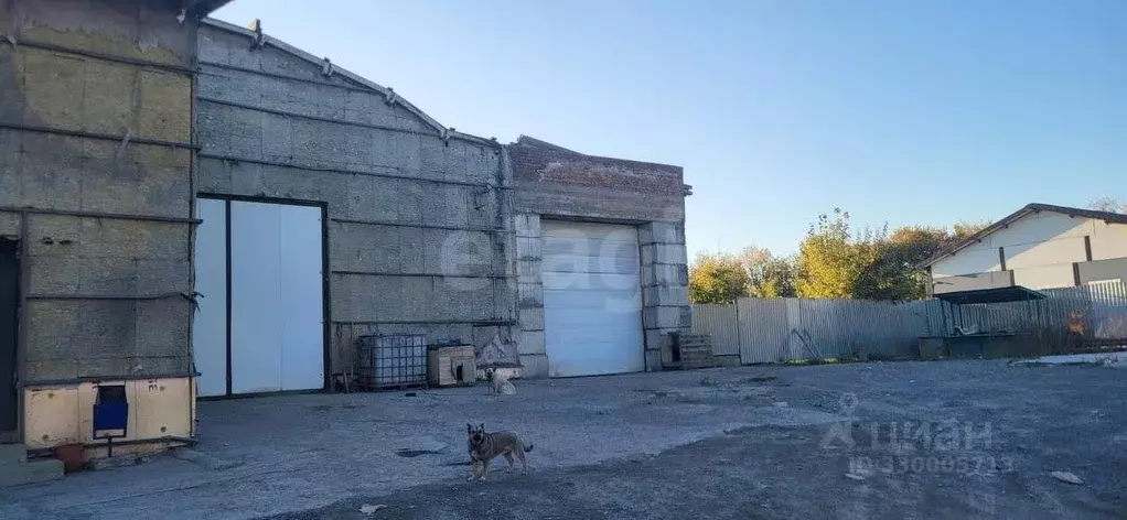 Склад в Новосибирская область, Искитим ул. Пушкина, 28А (950 м) - Фото 1