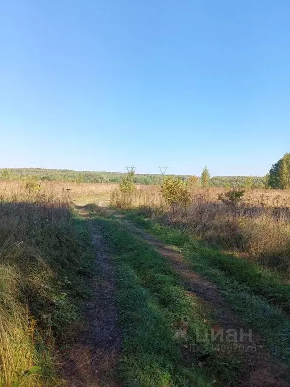 Участок в Калужская область, Тарусский муниципальный округ, д. ... - Фото 1