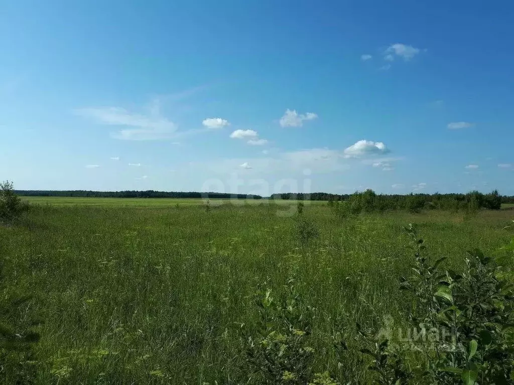 Участок в Коми, Ухта ул. Калиновая (8.0 сот.) - Фото 1