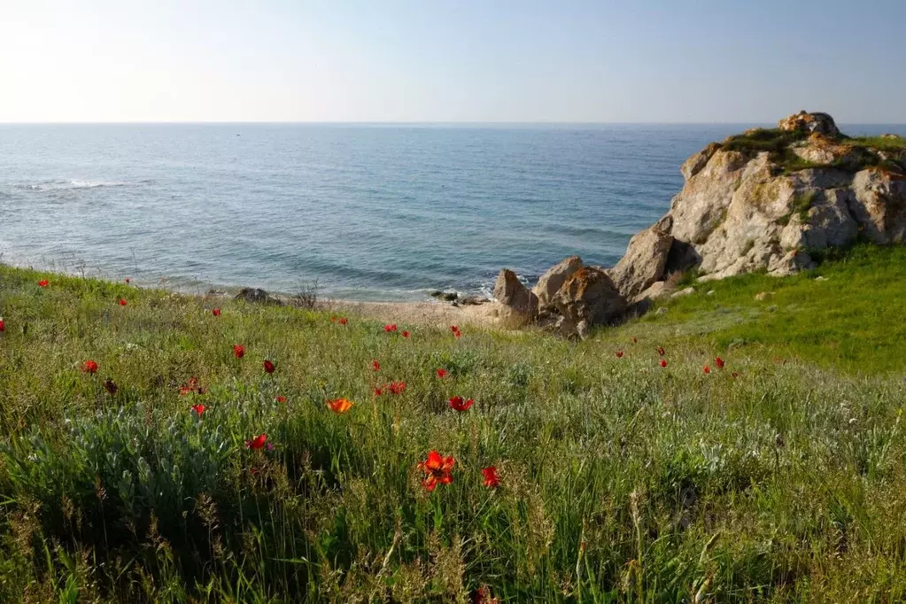 Участок в Крым, Ленинский район, с. Приозерное  (6.0 сот.) - Фото 1