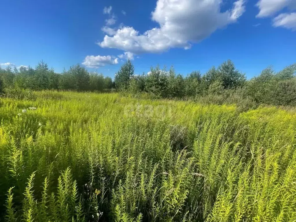 Участок в Нижегородская область, Кстовский муниципальный округ, с. ... - Фото 1