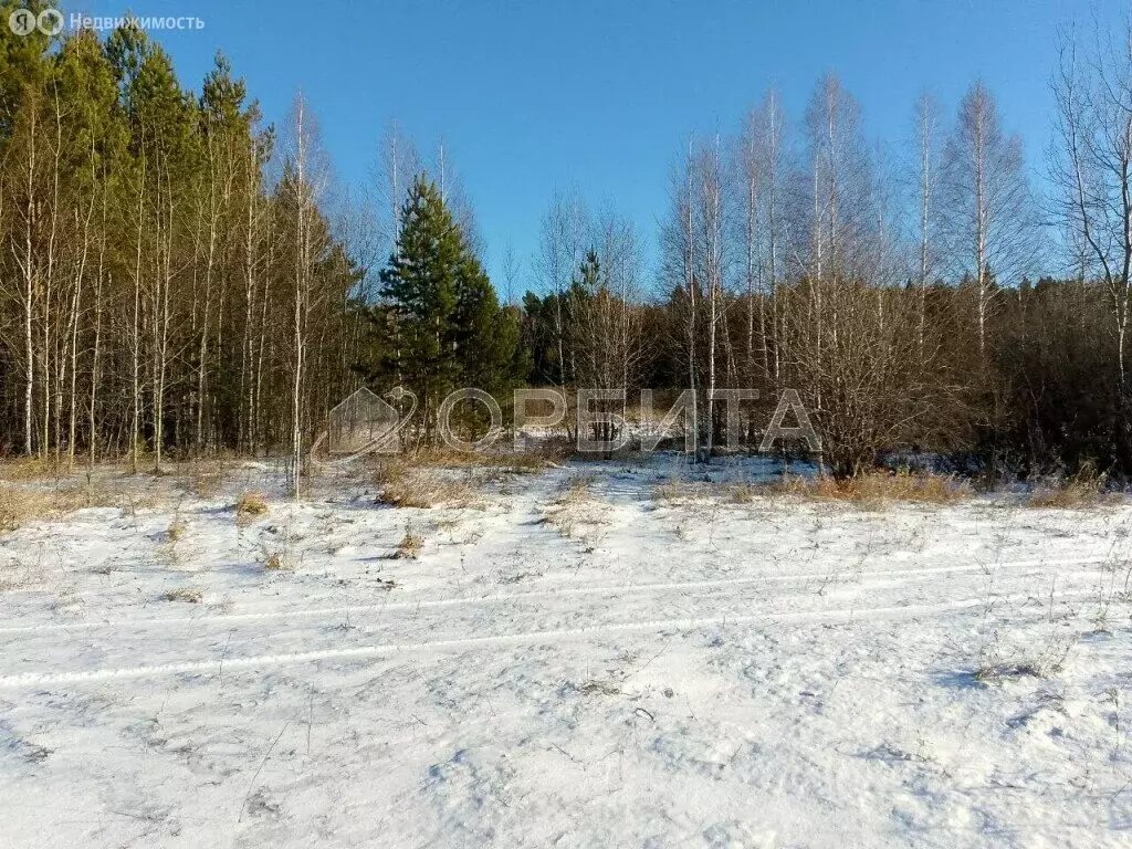 Участок в село Ошкуково, Молодёжная улица (11.84 м) - Фото 1