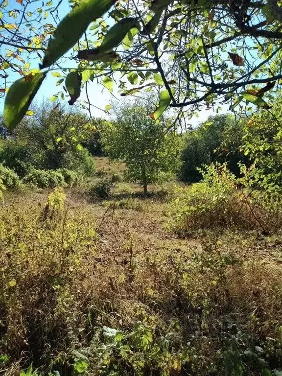 Участок в Краснодарский край, Геленджик муниципальное образование, с. ... - Фото 0