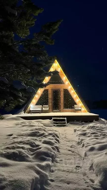 Дом в Удмуртия, Сарапульский район, с. Нечкино Лесная ул., 9 (45 м) - Фото 1