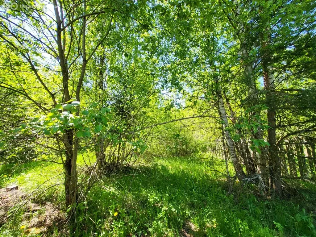 Дом в Сергиево-Посадский городской округ, деревня Плотихино, улица ... - Фото 0