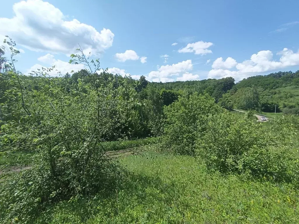 Участок в Белгородская область, Белгородский район, Дубовское с/пос, ... - Фото 1