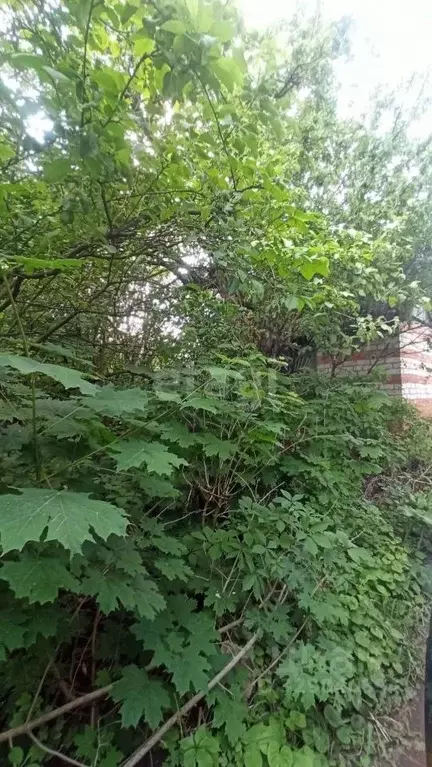 Участок в Белгородская область, Белгородский район, Беломестненское ... - Фото 1