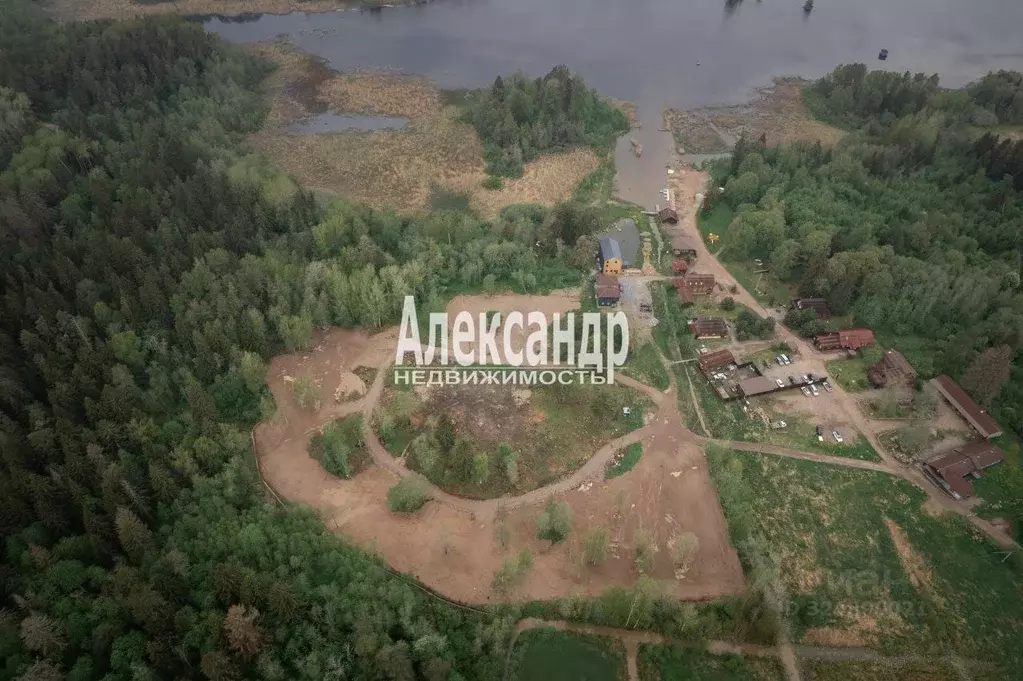 Участок в Ленинградская область, Приозерский район, Ларионовское ... - Фото 2