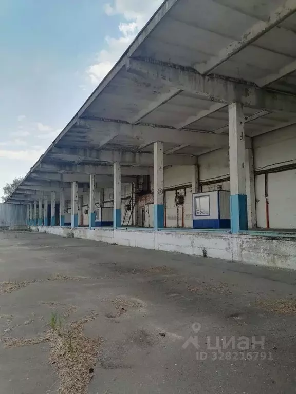 Склад в Московская область, Егорьевск ул. Промышленная, 1 (1000 м) - Фото 1