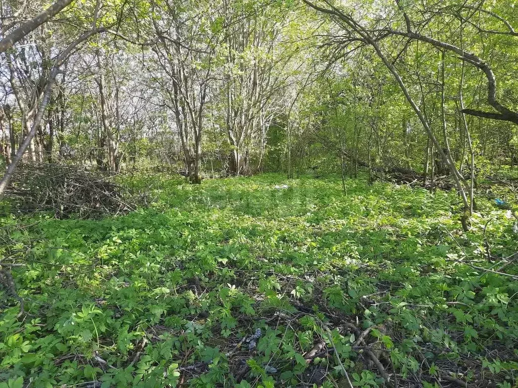 Участок в Смоленская область, Смоленск Березка СНТ, 3 (6.6 сот.) - Фото 1