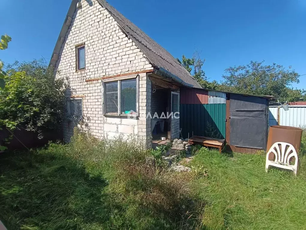 Участок в Калининградская область, Янтарный пгт, Садовник СНТ ул. ... - Фото 1