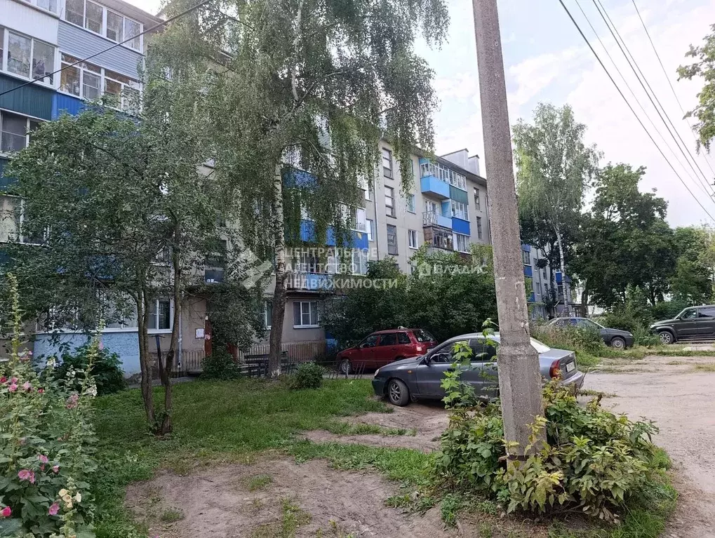 1-к кв. Рязанская область, Шилово рп ул. Стройкова, 3 (302.0 м) - Фото 1
