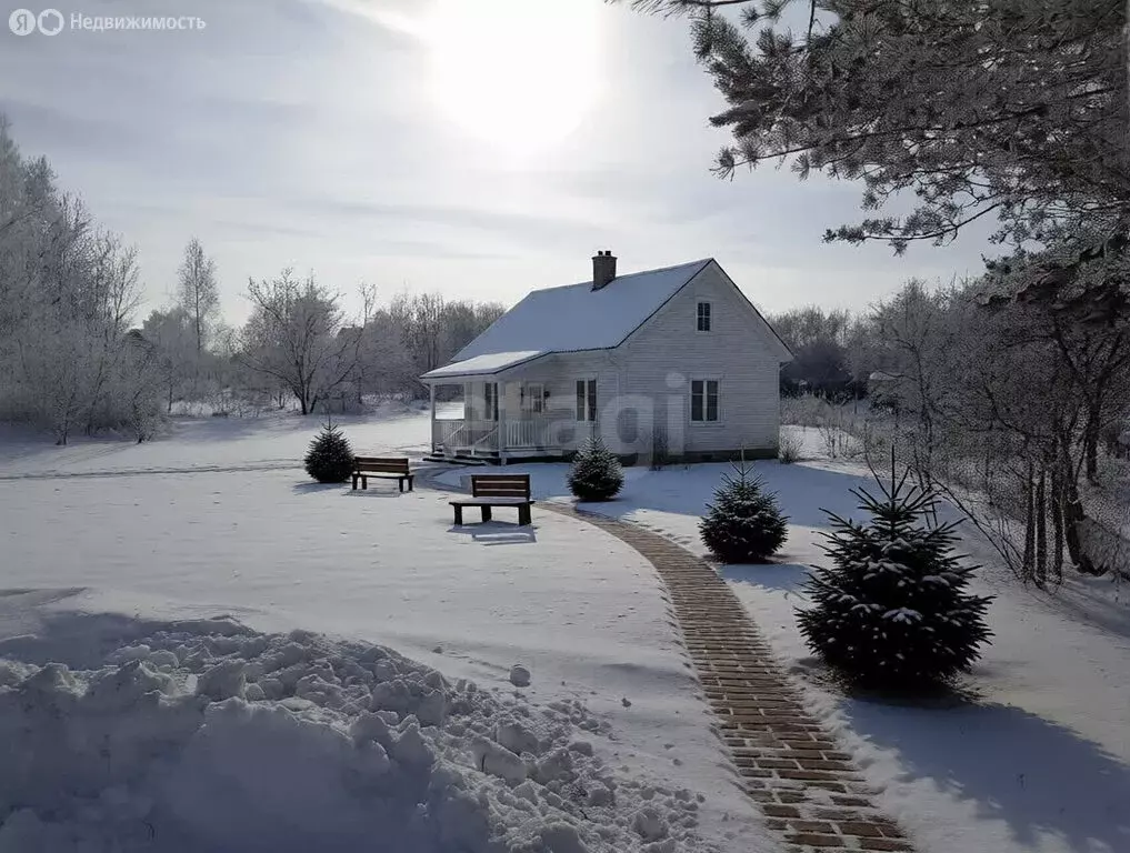 Участок в Ярославский муниципальный округ, деревня Шебунино, Школьная ... - Фото 1