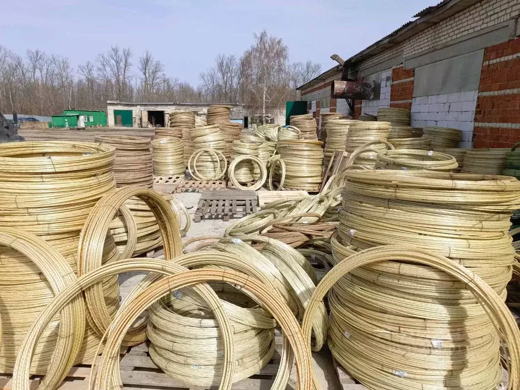 Производственное помещение в Нижегородская область, Перевоз ул. ... - Фото 0