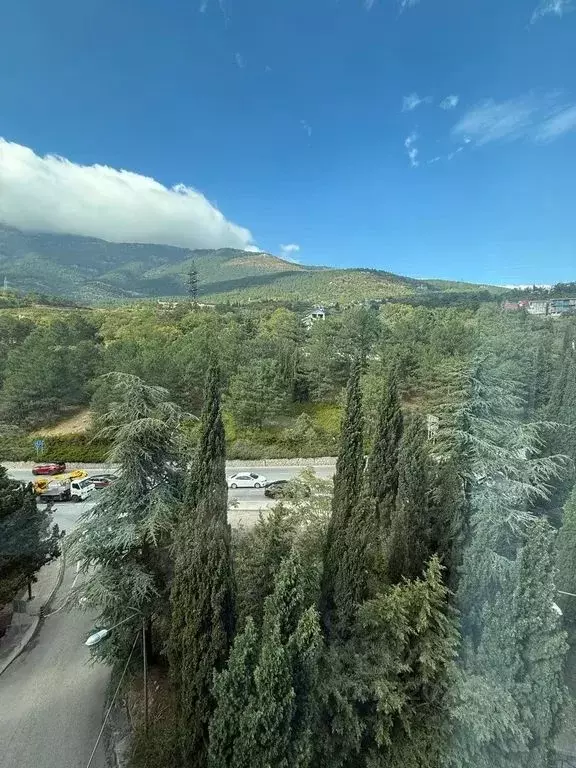 1-к кв. Крым, Ялта ул. Большевистская, 10 (35.0 м) - Фото 2