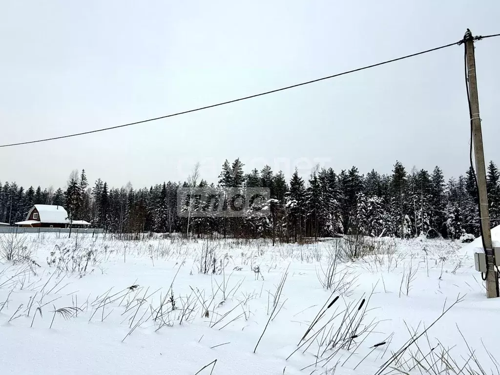 Участок в Московская область, Дмитровский муниципальный округ, Ивушка ... - Фото 2