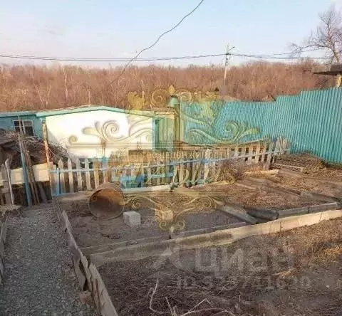 Дом в Приморский край, Артем ул. Чкалова (30 м) - Фото 2