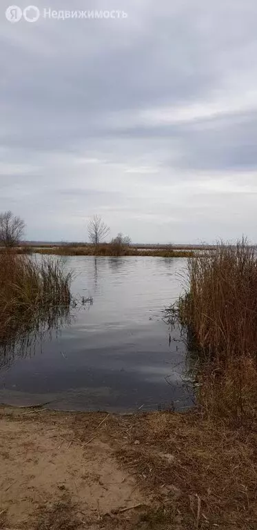 Участок в Приволжский район, сельское поселение Новоспасский, село ... - Фото 1