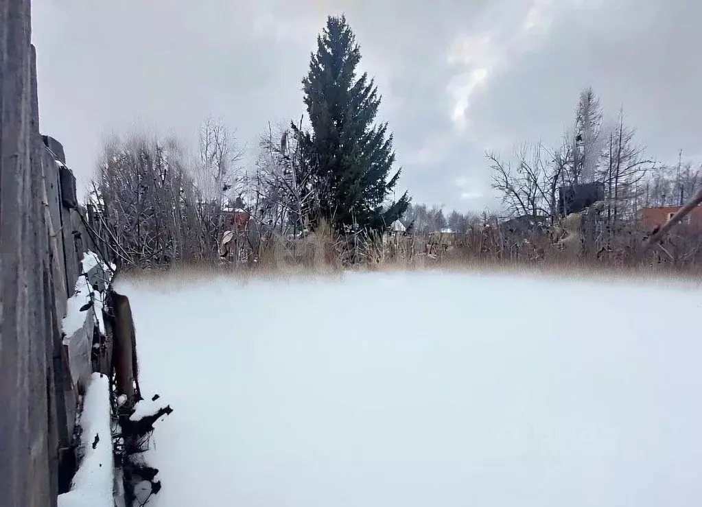 Участок в Тюменская область, Тюмень СОСН Локомотив тер., ул. ... - Фото 1