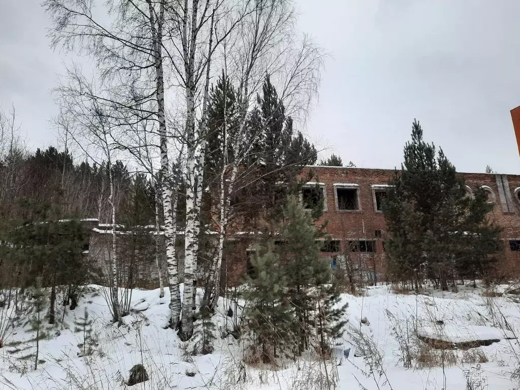 Помещение свободного назначения в Красноярский край, Дивногорск Р-257 ... - Фото 1